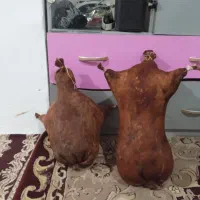 مشک اب پوست گوسفندی