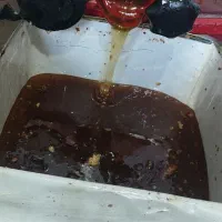 عسل گون