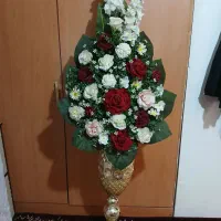 گل کاملا سالم و نو