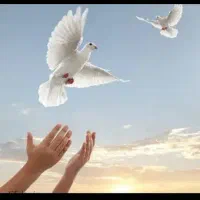 درمان ترک اعتیاد بدون درد و خماری