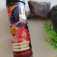 وسایل ماهی|ماهی|ملایر, |دیوار