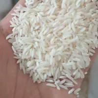 برنج هاشمی خوش طعم|خوردنی و آشامیدنی|رشت, دیلمان|دیوار
