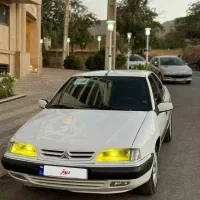 زنتیا سفید