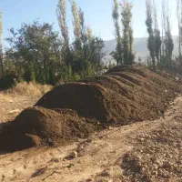 کود گاوداری صنعتی|خدمات باغبانی و درختکاری|یزد, |دیوار