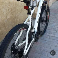 دوچرخه ویوا درحد