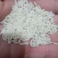 فروش برنج محلی درجه یک هاشمی (گیلان ،لاهیجان)