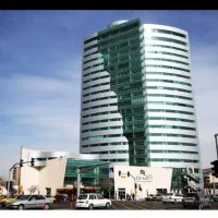 صندوقدار، نیروکار ساده، ماهر