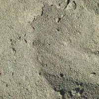 خاک سبز قابل استفاده در بلوک و موزاییک|مصالح و تجهیزات ساختمان|قم, صفاشهر|دیوار