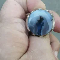 شجر طبیعی|جواهرات|گرگان, |دیوار