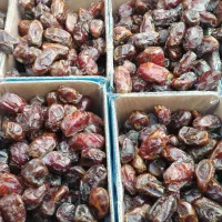 خرمای کبکاب بوشهر