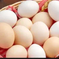 تخم مرغ