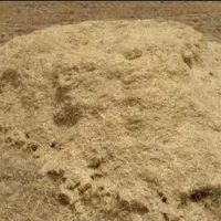 کاه ریز  دیم کردستان