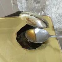 عسل طبیعی نمدال