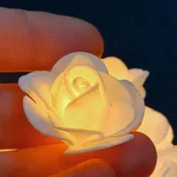 روشنایی نورپرداز|ریسه و چراغ تزئینی|تهران, فردوسی|دیوار