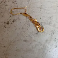 گوشواره گم شده