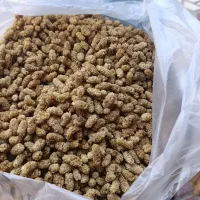 انواع توت خشک