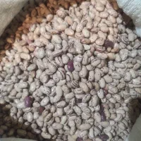 لوبیا چیتی بوجاری شده