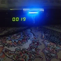 معاوضه با  پرنده کبوتر پلاکی دورگ پلاکی