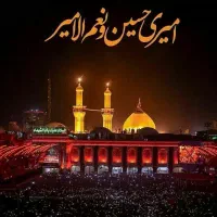 تور ۵ روزه  یک سر هوایی کربلا (رفع دلتنگی)