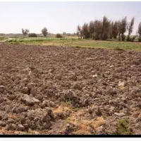 زمین کشاورزی