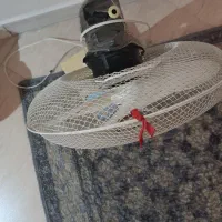 پنکه|پنکه و تصفیهکنندهٔ هوا|مشهد, امیریه|دیوار