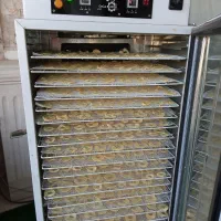 میوه خشک کن|ماشینآلات صنعتی|طرقبه, |دیوار