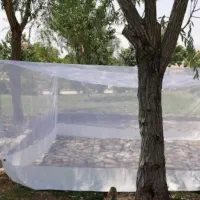 پشه بند و بازی فکری