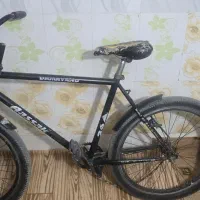 دوچرخه 26 دماوند رینگ‌ حرفه‌ای