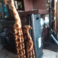 مجسمه زرافه چوبی