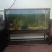 آکواریوم با میز