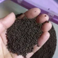 سلام چای کله مورچه ای هندوستان خورده و عمده فروشی