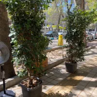 استخدام صندوقدار و گریل کار