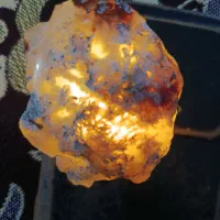 شجر برفی|کلکسیون اشیاء عتیقه|آیسک, |دیوار