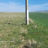 فروش زمین کشاورزی صنعتی|فروش دفتر صنعتی، کشاورزی، تجاری|صائین قلعه, |دیوار