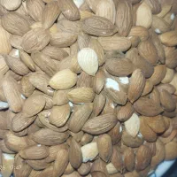 مغز بادام کوهی کیلو ۶۰۰ با برنج هم عوض میکنم|خوردنی و آشامیدنی|یاسوج, |دیوار