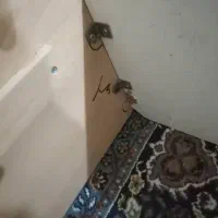 تخت خواب ام دی ام بچه با تشک|تخت و صندلی بچه|شوش, |دیوار