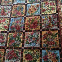 یک جفت خش شیدا جفت بینظیر