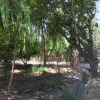 ۴۰۰ متر باغچه شهرکی فول امکانات بابا سلمان شهریار
