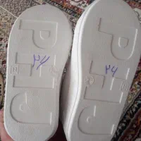 کفش دخترانه|کیف، کفش، کمربند|سلماس, |دیوار