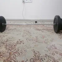 وزنه با هالتر