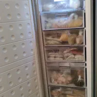 یخچال سالم سالم