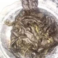 هیزه 5 کیلویی