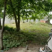 زمین کلنگی سند دار با واحد مسکونی در مرکز کلاردشت|فروش زمین و ملک کلنگی|کلاردشت, |دیوار