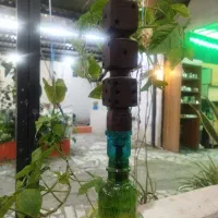 قلیون آماده ب کار برای کافه سرحال