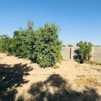 فروش باغ ۴۰۰۰ متری واقع در مهارلو دریاچه نمک|فروش زمین و ملک کلنگی|شیراز, مسلم|دیوار