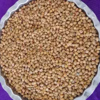 نخود|خوردنی و آشامیدنی|میاندوآب, |دیوار