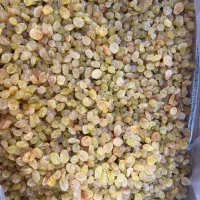 فروش  عمده کشمش ملایر طلایی و خرمایی در هر تناژی