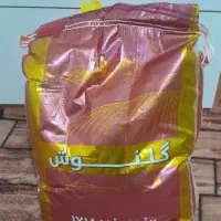 برنج پاکستانی گلنوش طلایی