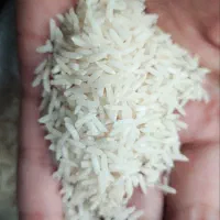 برنج هاشمی درجه یک شفت|خوردنی و آشامیدنی|رشت, رودبارتان|دیوار