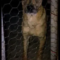 میکس سراب افغان